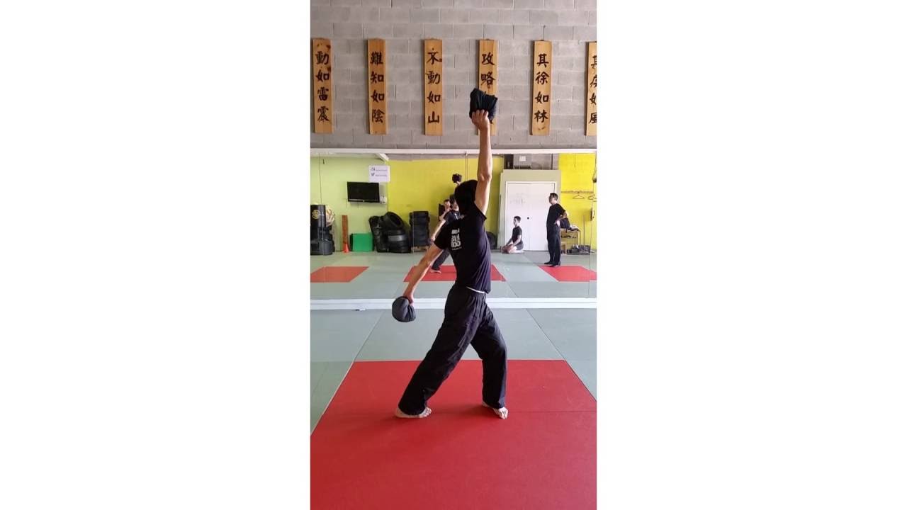 Kung fu weighted bean bag training video