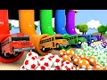 Finger family Song - school bus soccer ball play - Nursery Rhymes &amp; Kids Songs