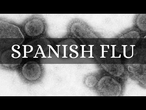 Why the Spanish Flu was the worst diseases in the History? - YouTube