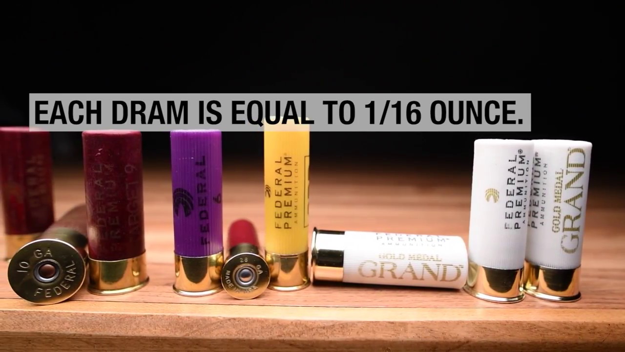 Shotgun Shell Dram Equivalent Chart