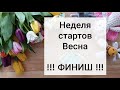 Неделя стартов Весна / Отчет #неделя_стартов_весна