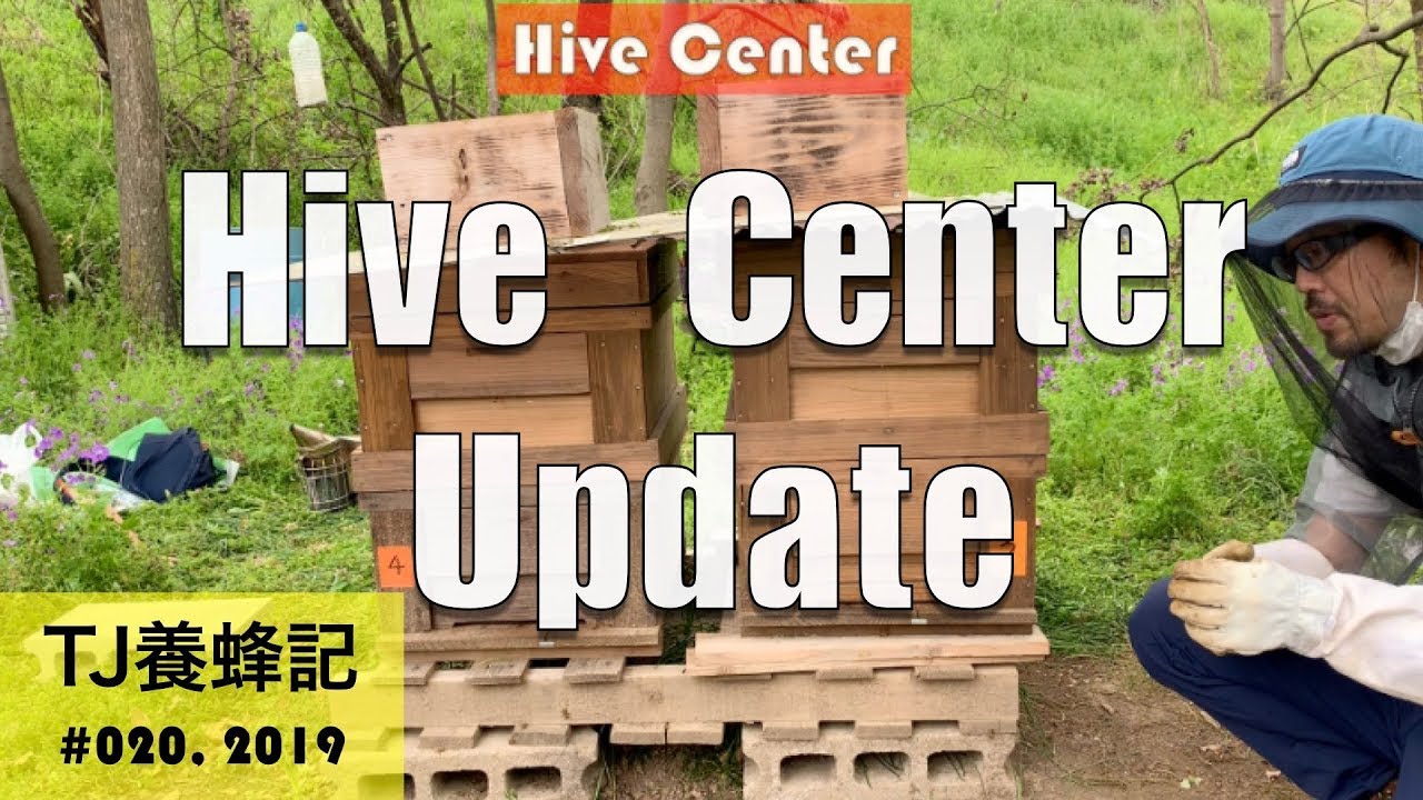 中巣箱アップデート 「除王採蜜」とは？ 隔王板の利点について 5月 （Hive Center Update）