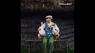 Wellboy -Гуси