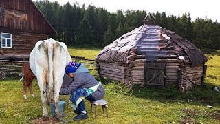 ALTAY Köy Hayatı. Altay Köyü'nde eski yaşam tarzı. Rusya