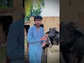 end lazmi dekna #funny 🤣😜😝 #pawarholakhalidhobijatimere #funnyclip