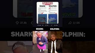 We need this update 😭