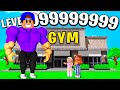 I BUILT A LEVEL 999,999,999 GYM IN ROBLOX!