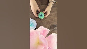 Who knew coffee filters could bloom like this? ☕🌼  #shorts