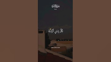 وكل انسان الزمناه طائره في عنقه - سورة الإسراء - ياسر الدوسري