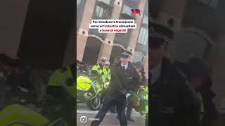 Gli attivisti per il #clima di Animal Rebellion gettano della vernice sul Big Ben, Londra #vdnews