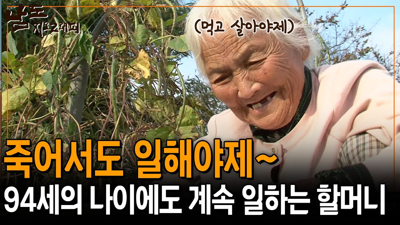 죽어서도 일해야제~ 94세 나이에도 멈추지 않고 일하는 할머니의 인생관 [남도지오그래피] | KBS 141104