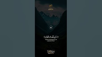 تلاوة خاشعة للقارئ رعد محمد الكردي من سورة إبراهيم ﴿ وترى المجرمين يومئذ مقرنين في الأصفاد ﴾🌹