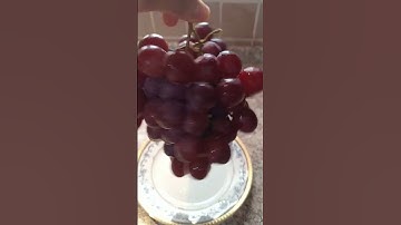 GRAPES #shortvideo #video  #shorts #grape @sweetsvlogfromchel