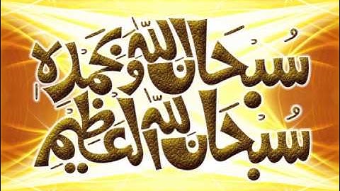 طارق السعوي سورة فصلت