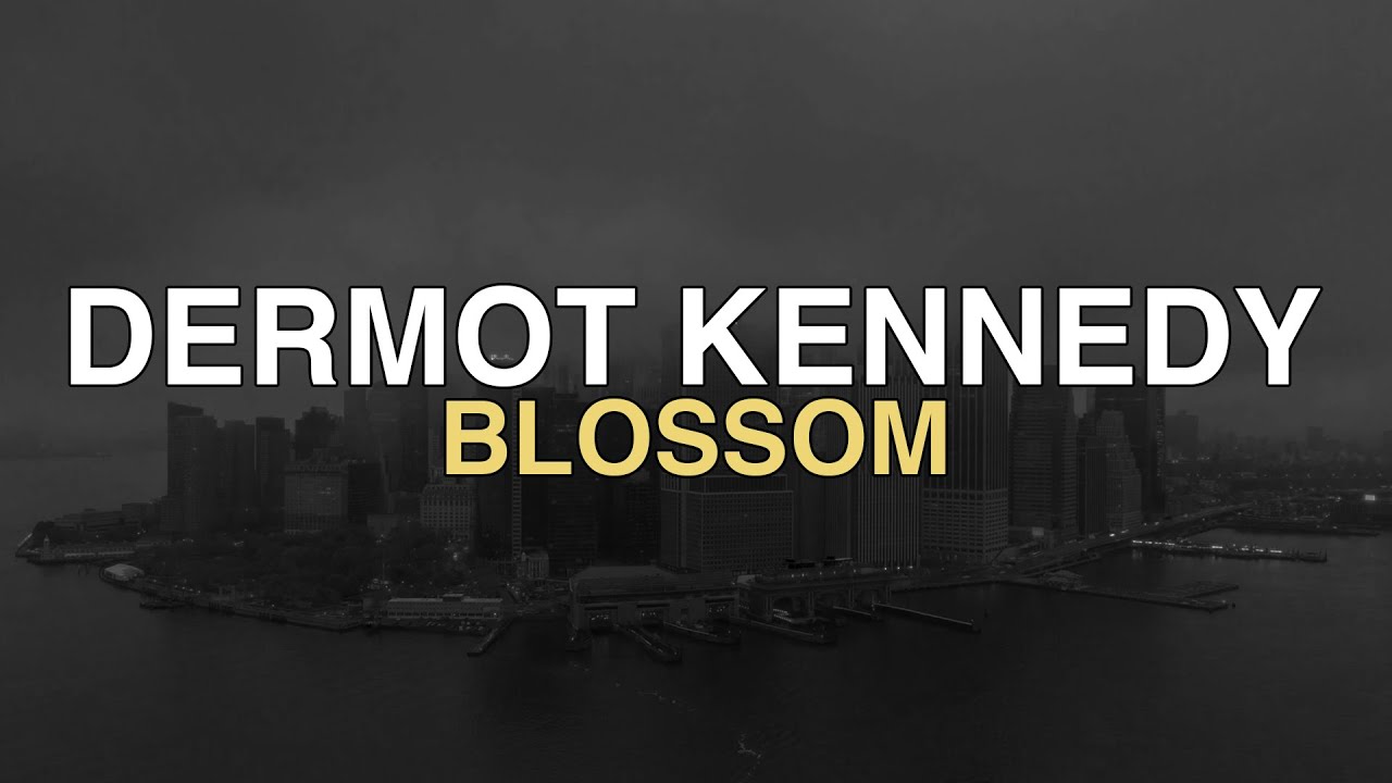 Dermot Kennedy - Blossom (lyrics)