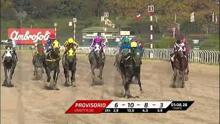 Vidéo de la course PMU PREMIO EVER STRONG