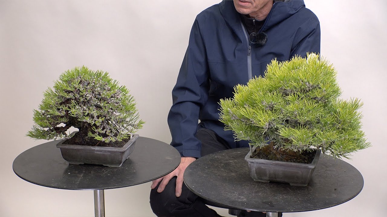 The Importance of Wiring | 針金掛けの理由