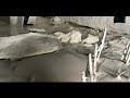 bon Iver-Creature Fear