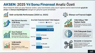 Bilanço Analizi Yatırım Ve Borçluluk