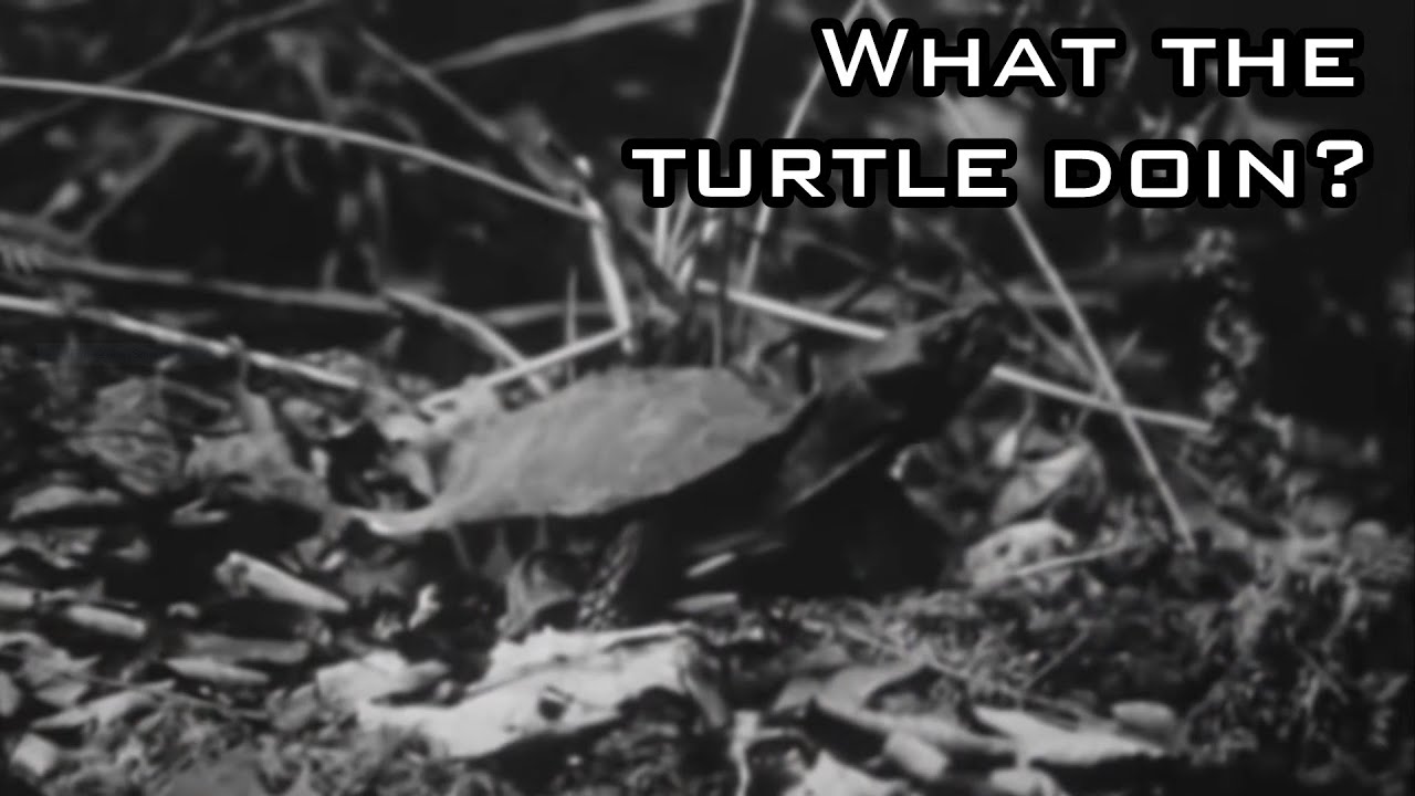 Meredith Monk - Turtle Dreams [M4v3r1cX Hip Hop Remix]