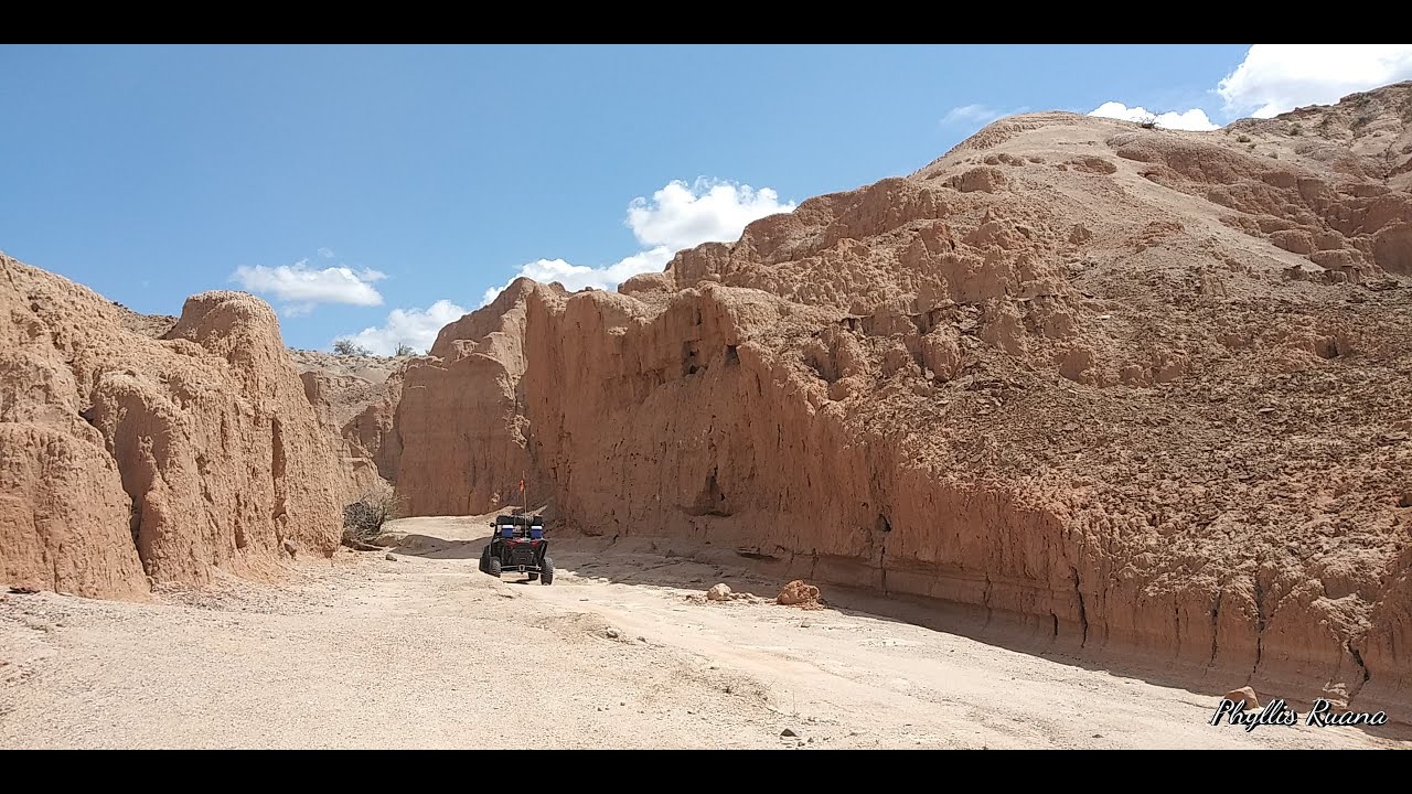 Alamo UTV trail ride camp and fish Mar 2020 Part2 - YouTube