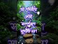 এই পৃথিবীতে কেউই সম্পূর্ণরূপে সুগঠিত নয়!Best Heart Touching Motivational #shortsfeed