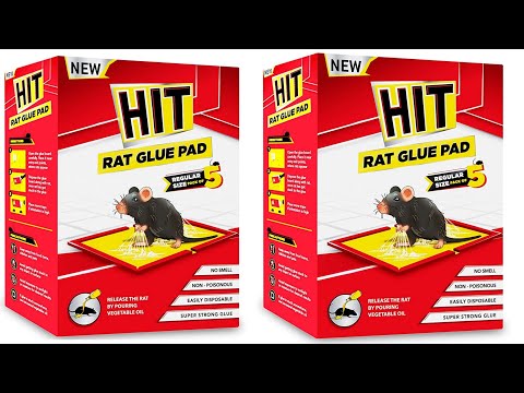 NEW HIT Rat/Mouse Glue Pad (Pack of 5)