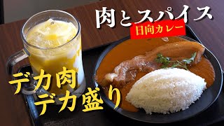 肉とスパイス 日向カレー | 入間市下藤沢のカレー店