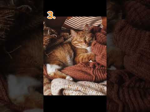 🍂Чувствуете этот осенний