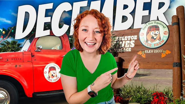 Whats Happening At Universal in December