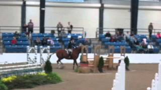 Maclay Regionals 2011