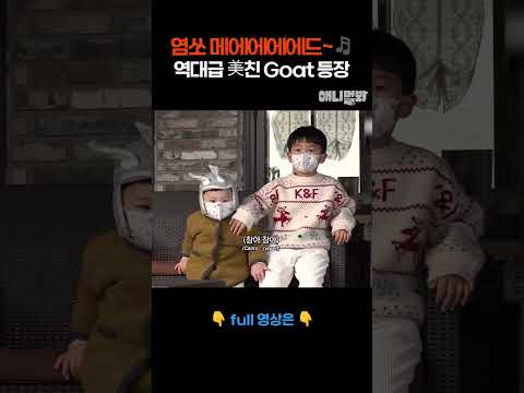염쏘 메에에에에드~🎵 역대급 美친 Goat 등장 #애니멀봐 #shorts