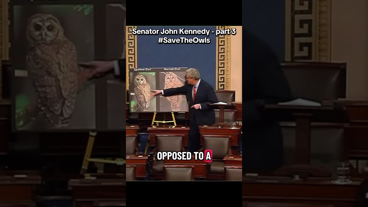 Спасите полосатых сов — часть 3. Сенатор Джон Кеннеди 