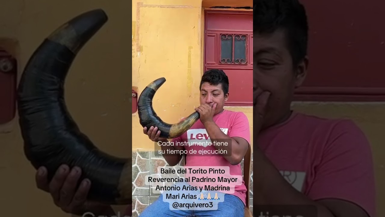 Baile del Torito Pinto Reverencia al Padrino Mayor Antonio Arias y Madrina Mari Arias 🙏🏻🙏🏻🙏🏻