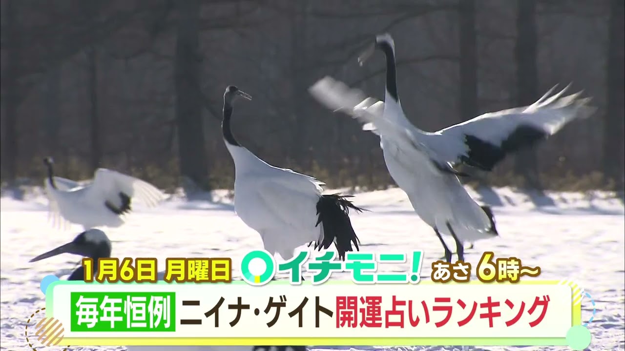 イチモニ 占い