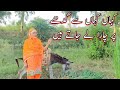 Woman Donkey riding in fields | Donkey rider lady
