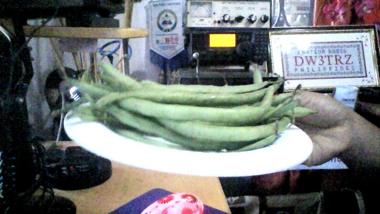 Bitsuelas Wednesday | Ham Net Philippines