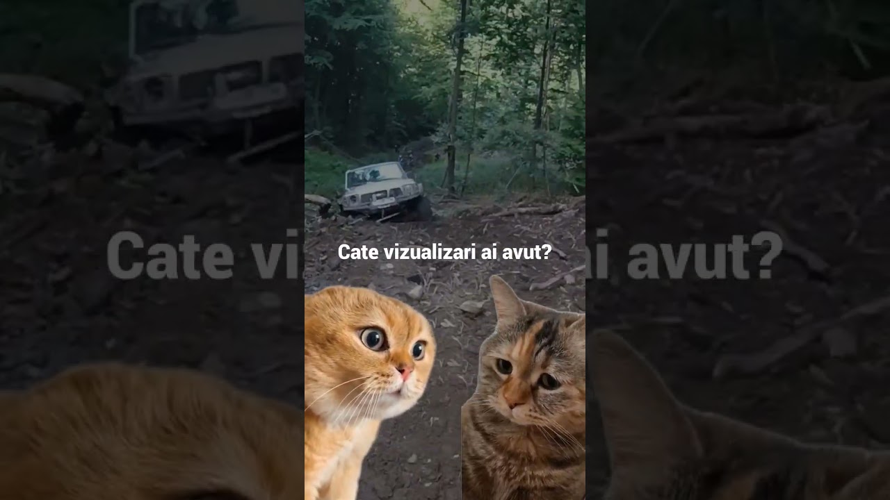 Ne uitam la Offroad? #offroad #automobile #adventure #offroad4x4 #noroi