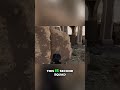 Sniper Ambush! Soldiers Fight Back in Urban Hellscape #shorts