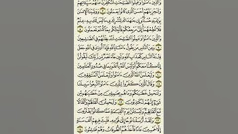 سورة العنكبوت من الآية ٧ إلى الآية ١٤بصوت القارئ ماهر المعيقلي
