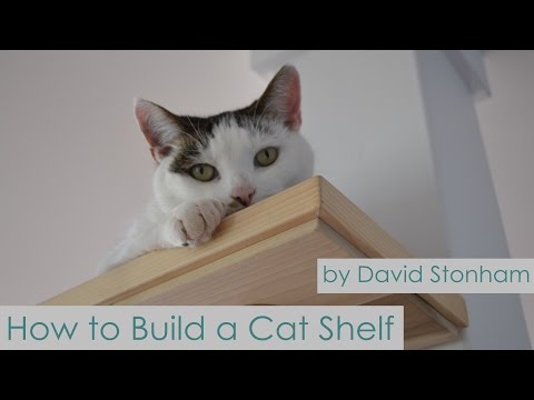 Video: Paano Bumuo Ng Mga Cat Shelf