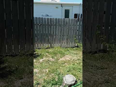 my backyard in Caldwell idaho