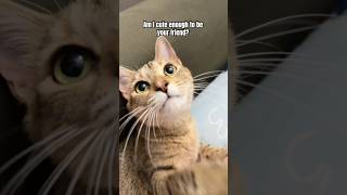 Thank You New Friends シ