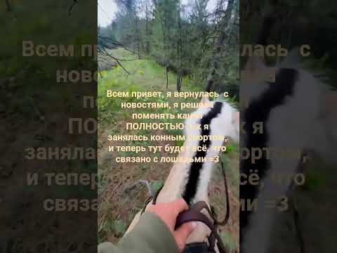 я не знаю что писать -_-