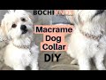 🐶 DIY Macrame Dog Collar - Circle Daisy Pattern | Step-by-step Tutorial