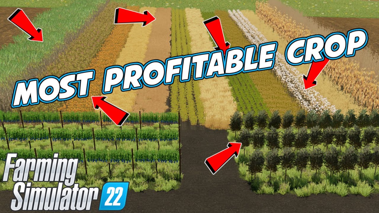 FS22 Most Profitable Crop | Farming Simulator 22 - YouTube