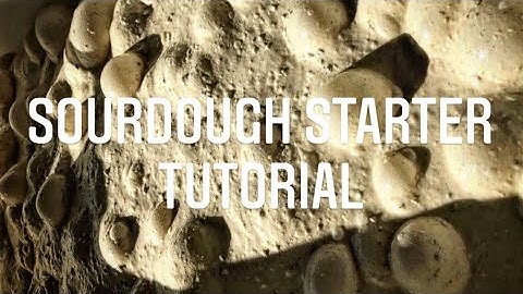 How to make a SOURDOUGH starter from scratch | artisan sourdough bread masterclasses | Levain