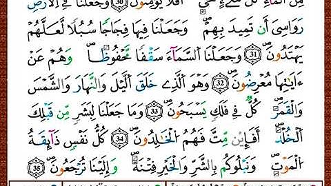 ختمة مصحف التجويد برواية قالون الصفحة رقم 324