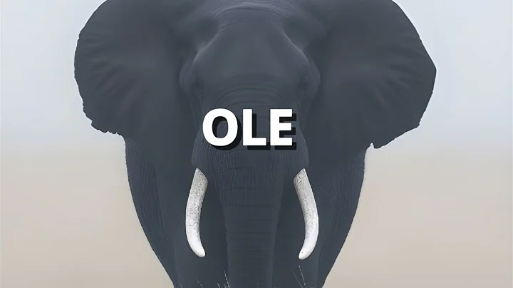 Afrobeat Type Beat 2025 - "OLE" | Afrobeat Instrumental X Burna boy x Fola