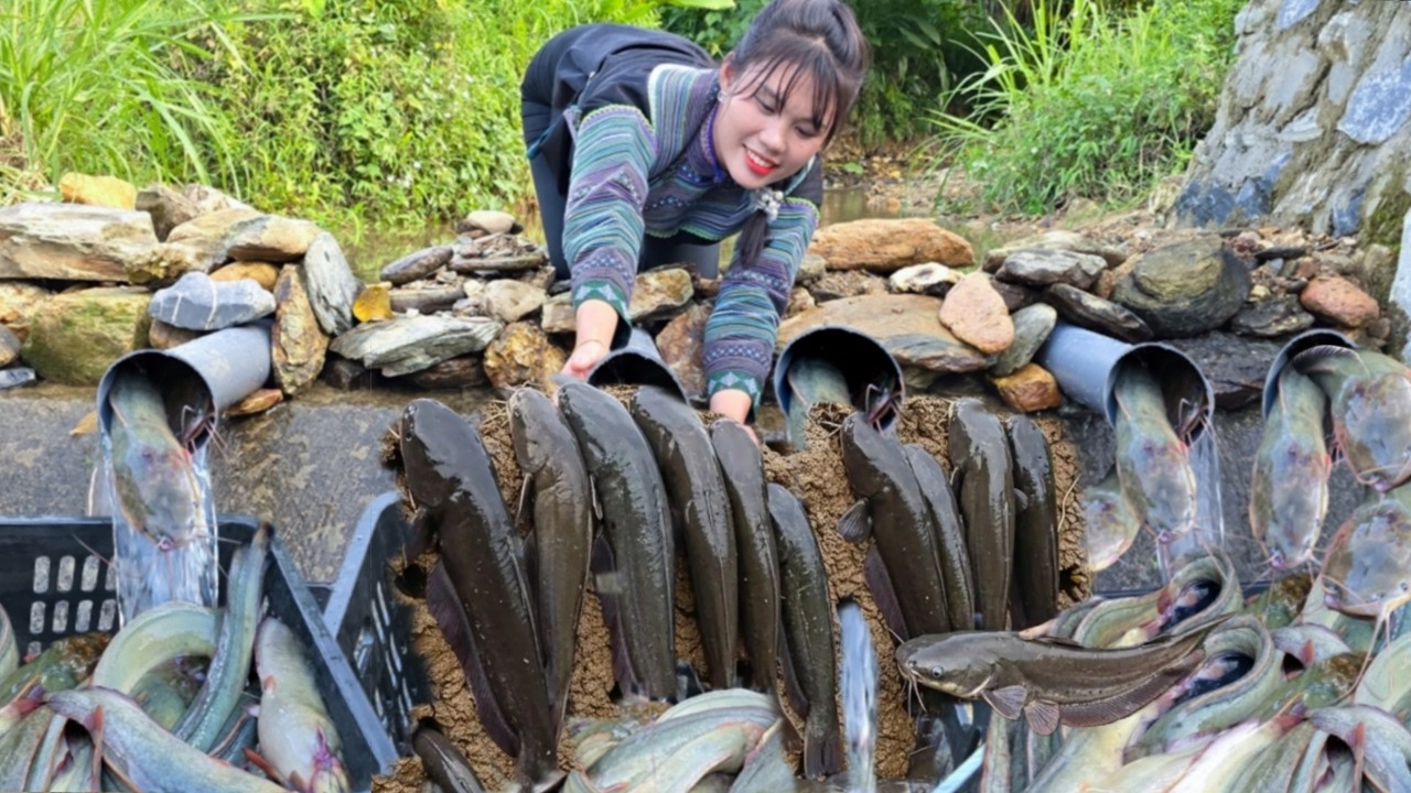 The single mother dug a hole in the stream to trap catfish and ...